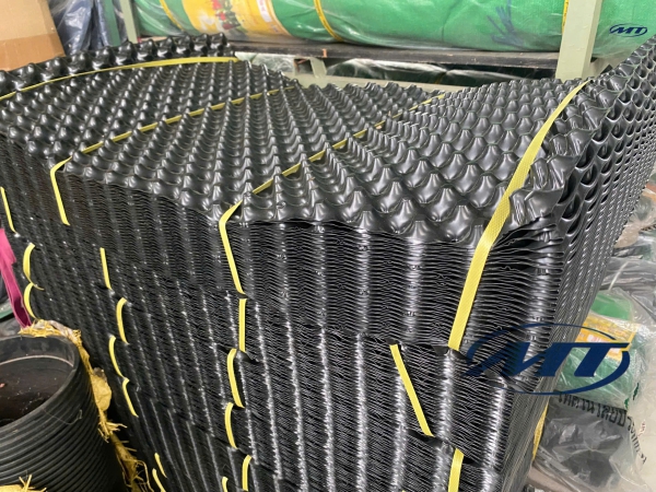 Bầu Uơm (Dài 50m)